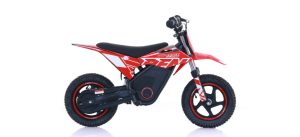 Warrior E-250W
