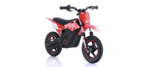 Warrior E-500W
