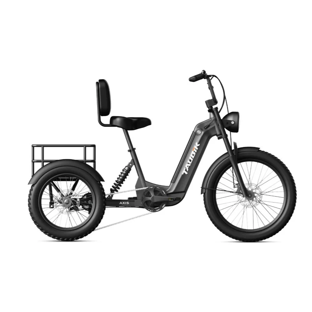 Axis eTrike – Image 2